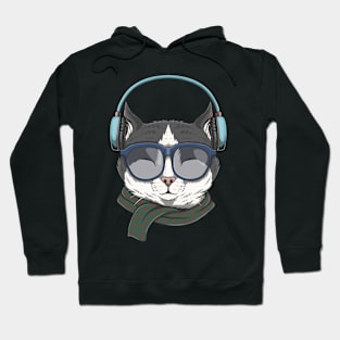 Cat Wearing Sunglasses Hoodie